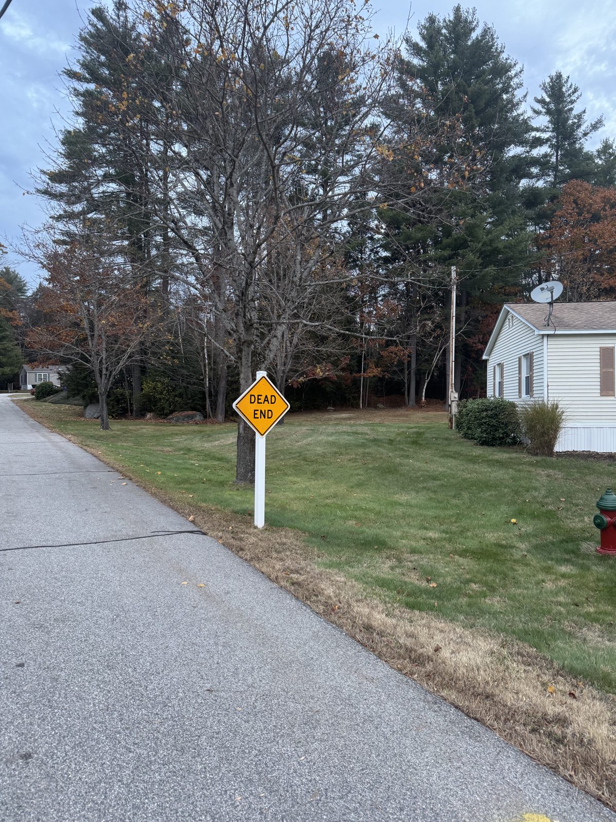 Clean lawn along a quiet street after leaf cleanup