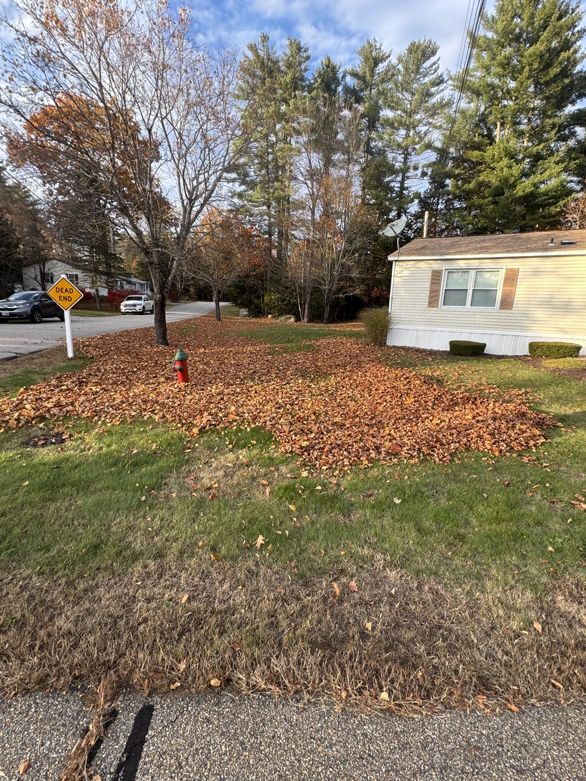 Before fall leaf cleanup of a front lawn