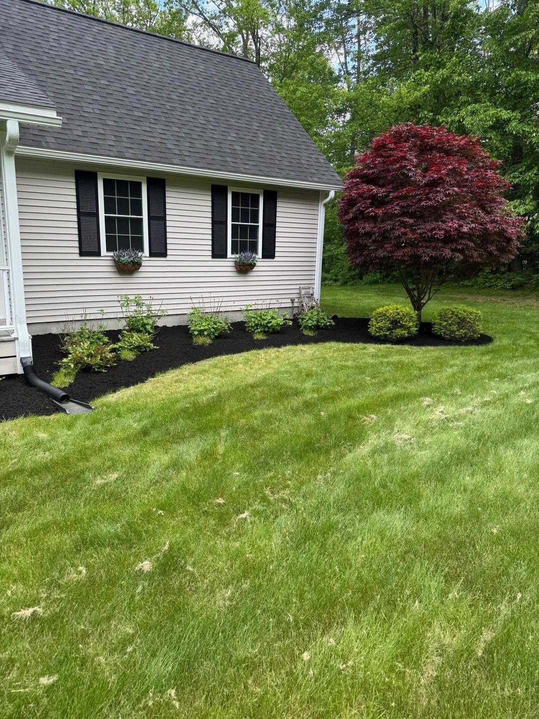 Mulched landscape bed with perennials, boulders, and a river rock border