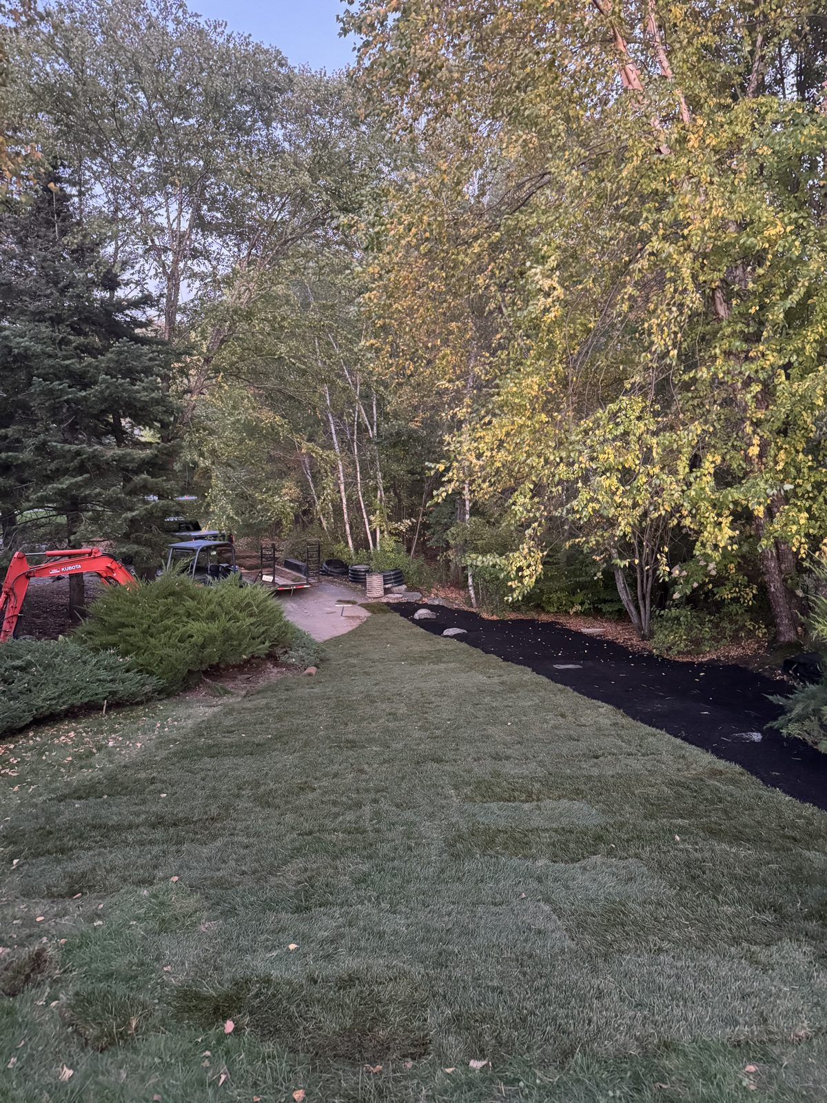 Finished new sod lawn with mulch edging